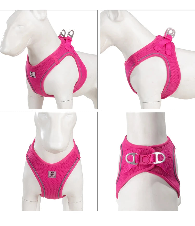 Dog Harness Leash Set for Small to Medium Dog