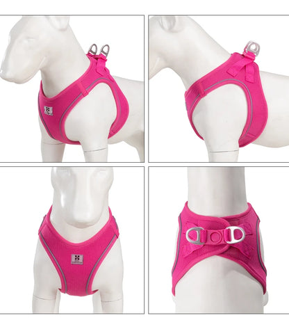 Dog Harness Leash Set for Small to Medium Dog