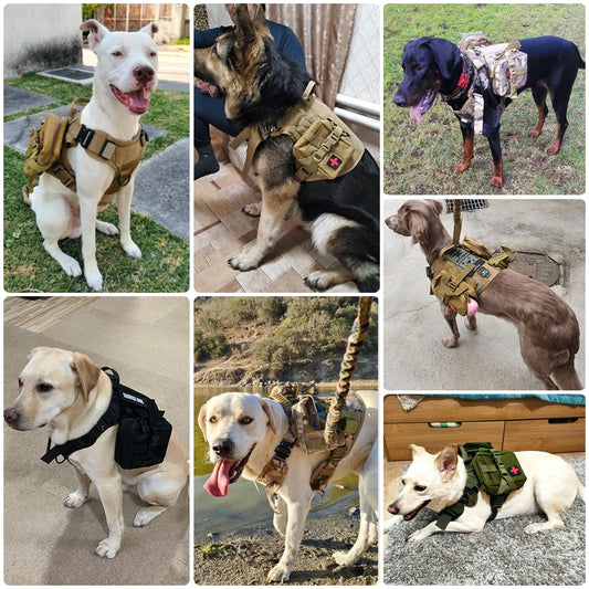 Military Large Dog Harness Collar, Leash Bags, Training Vests