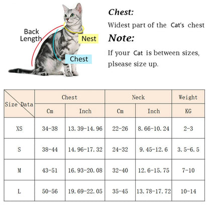 Fashion Pet Harness/Leash Set for Small Dogs, Cats