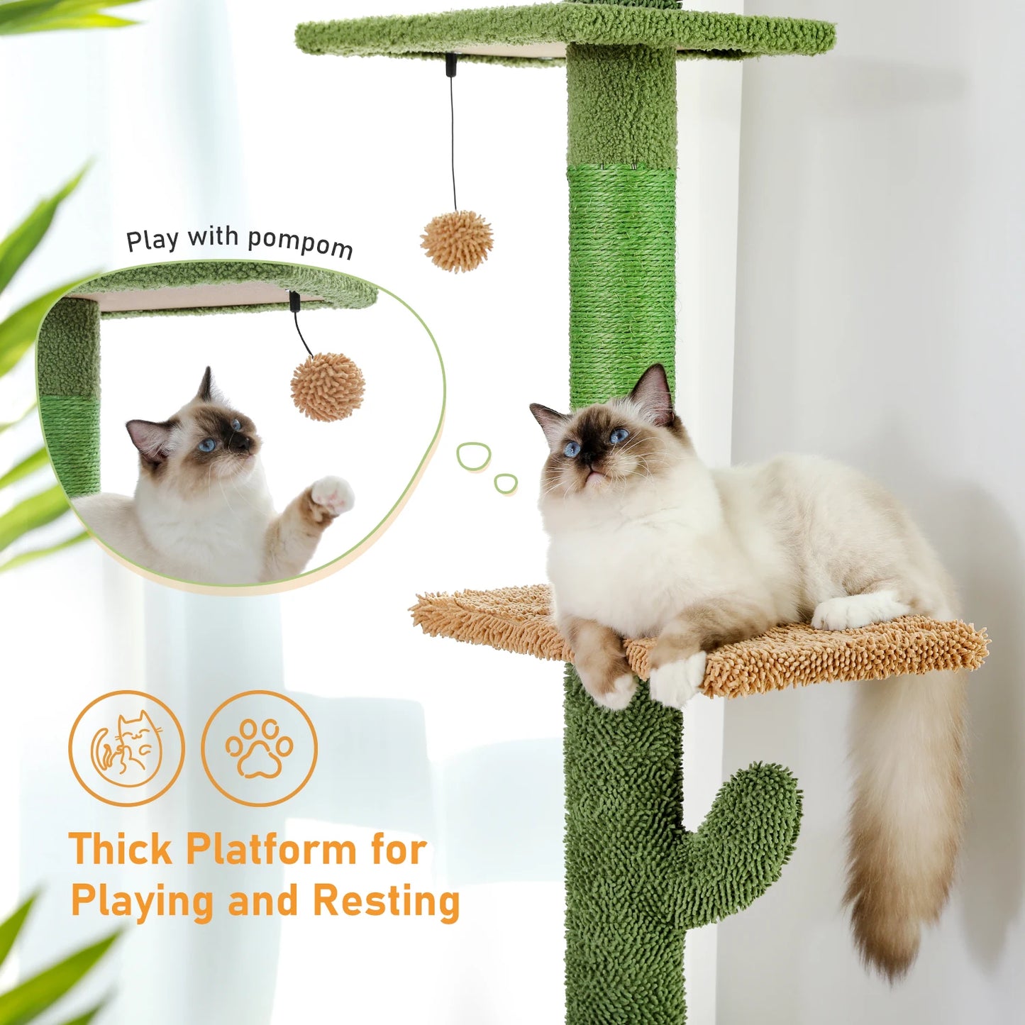 Cat Tree, 5-Tier Floor to Ceiling Cat Tower