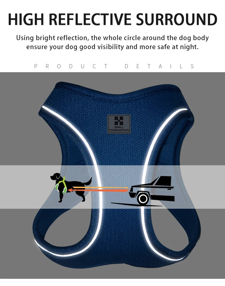 Dog Harness Leash Set for Small to Medium Dog