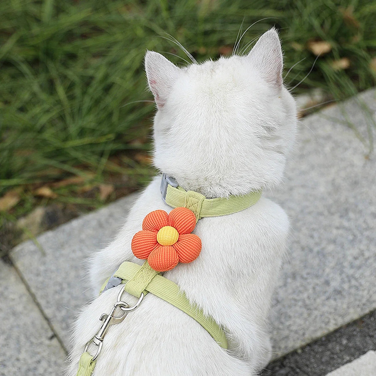 Adjustable Cat Harness and Leash Sets