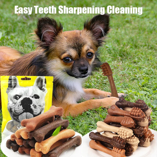 Dog Bruxism Stick Toothbrush Snack, Bone Shape