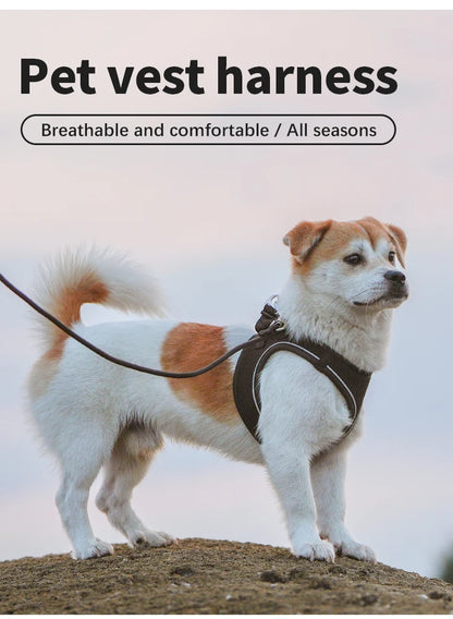 Dog Harness Leash Set for Small to Medium Dog