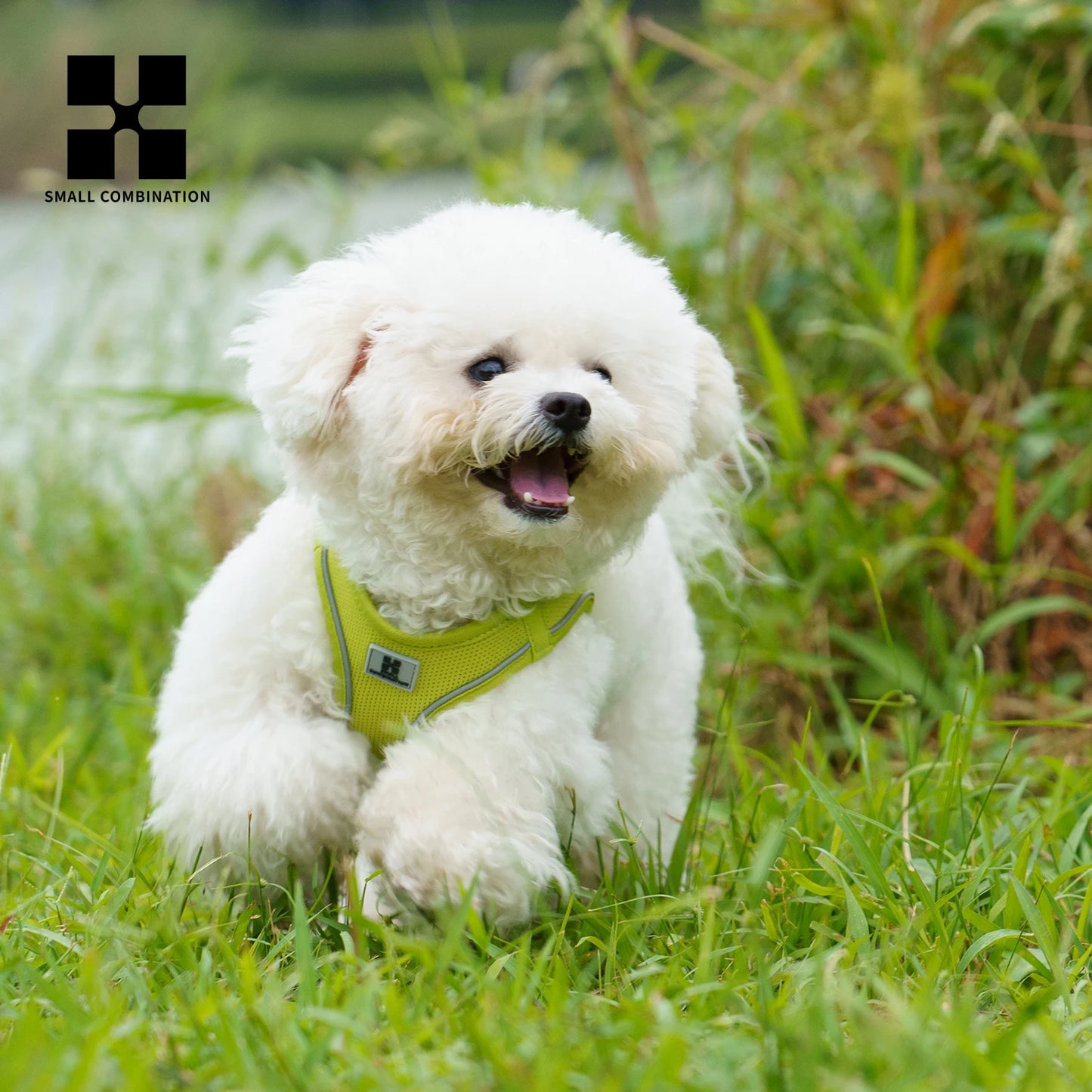 Dog Harness Leash Set for Small to Medium Dog
