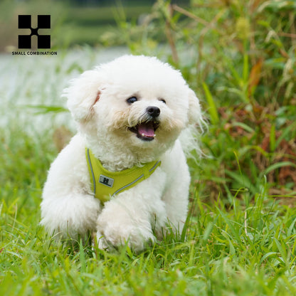 Dog Harness Leash Set for Small to Medium Dog