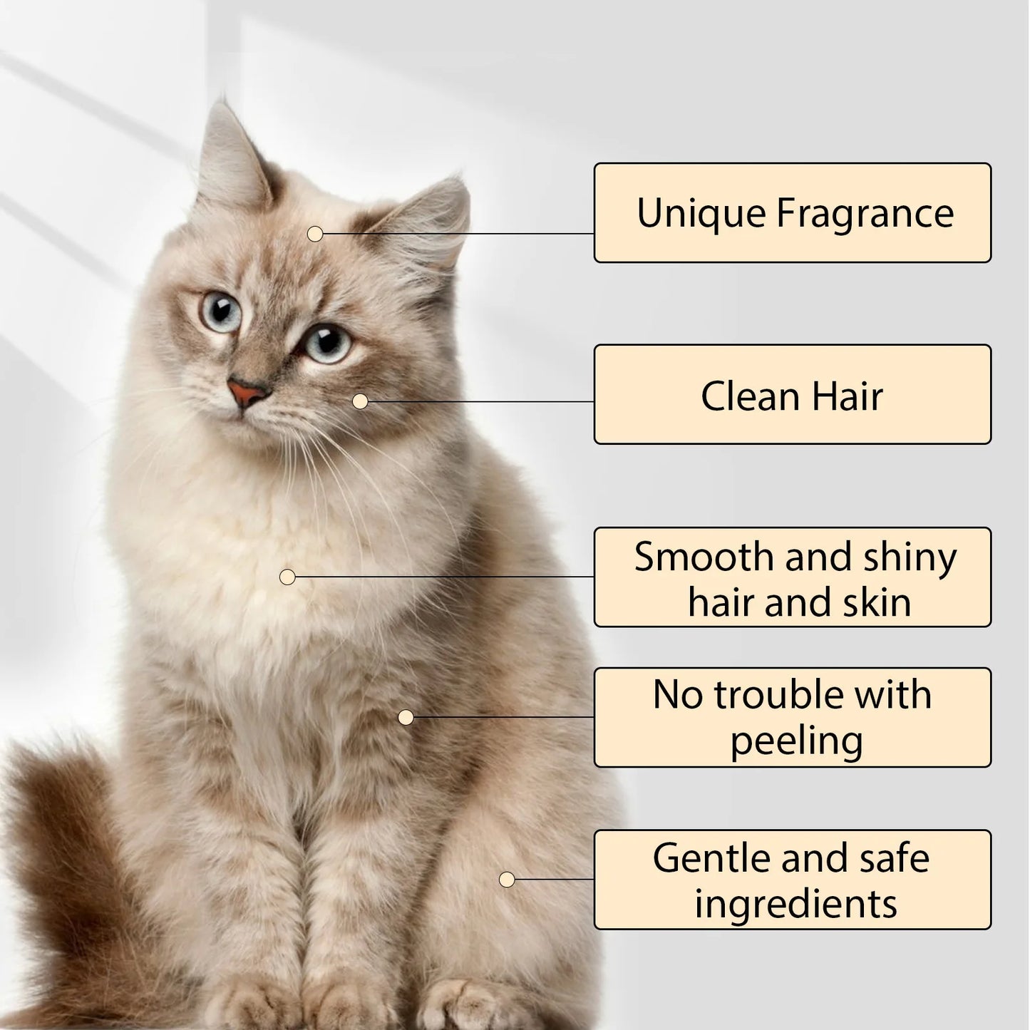 Dog Wash Shampoo: Flea & Mite Killer, Dirt Removal - Anti-Itch, Deodorizing & Moisturizing Formula for Softening Coat