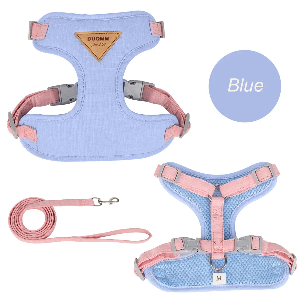 Fashion Pet Harness/Leash Set for Small Dogs, Cats