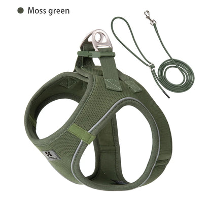 Dog Harness Leash Set for Small to Medium Dog