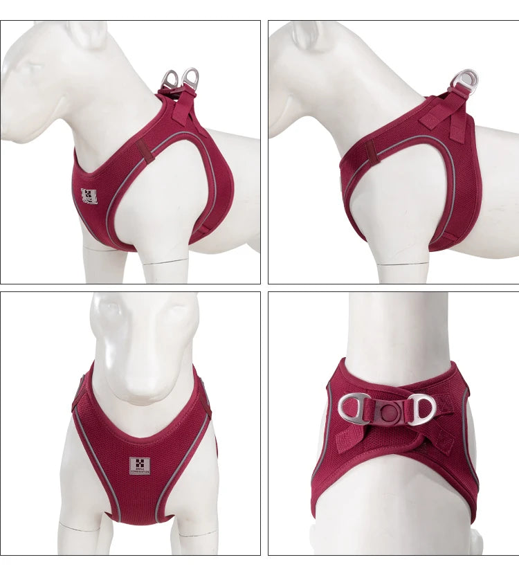 Dog Harness Leash Set for Small to Medium Dog