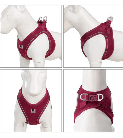 Dog Harness Leash Set for Small to Medium Dog