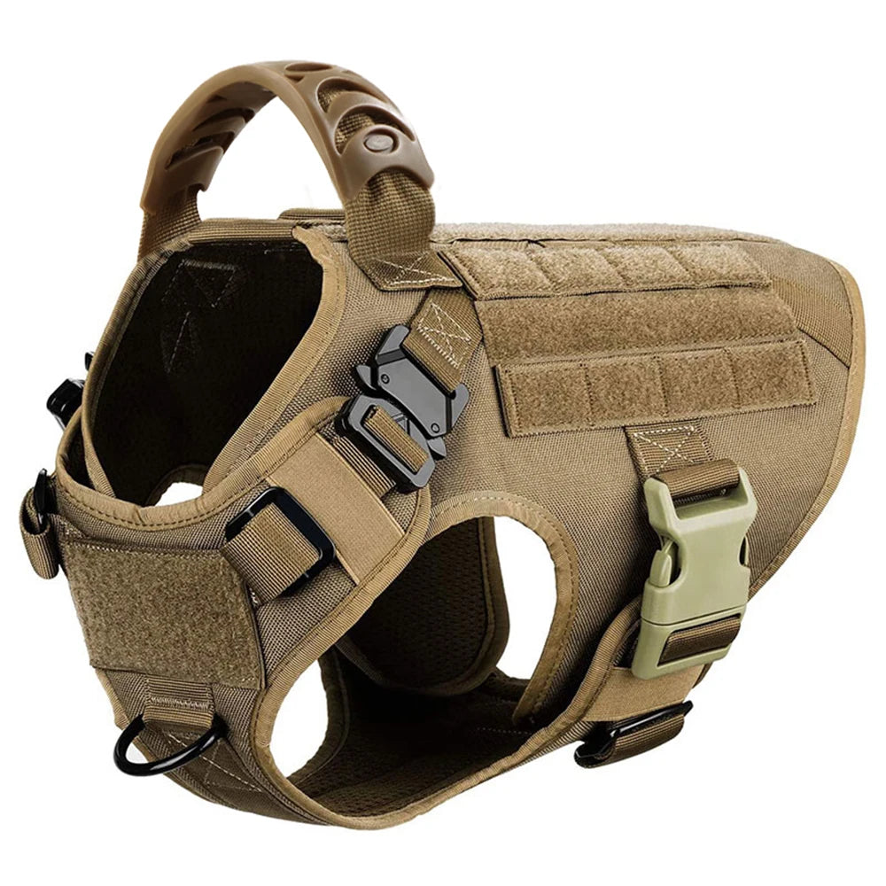 Large Dog Harness/Leash Set Large Dog