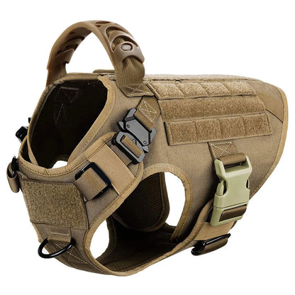 Large Dog Harness/Leash Set Large Dog