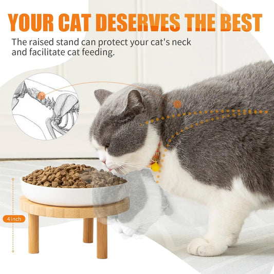 Elevated Ceramic Cat Bowls with Bamboo Stand, Whisker Friendly Pet Feeding Dishes for Indoor Cats, Set of 2