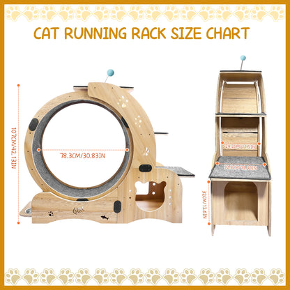 4 In 1 Cat Treadmill With Climbing Ladders and More!