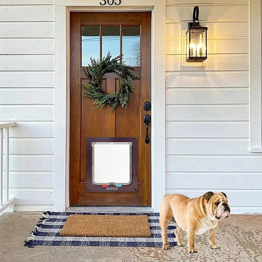 Cat, Dog, Puppy, Outside Door, Security Lock, Safety