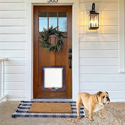 Cat, Dog, Puppy, Outside Door, Security Lock, Safety