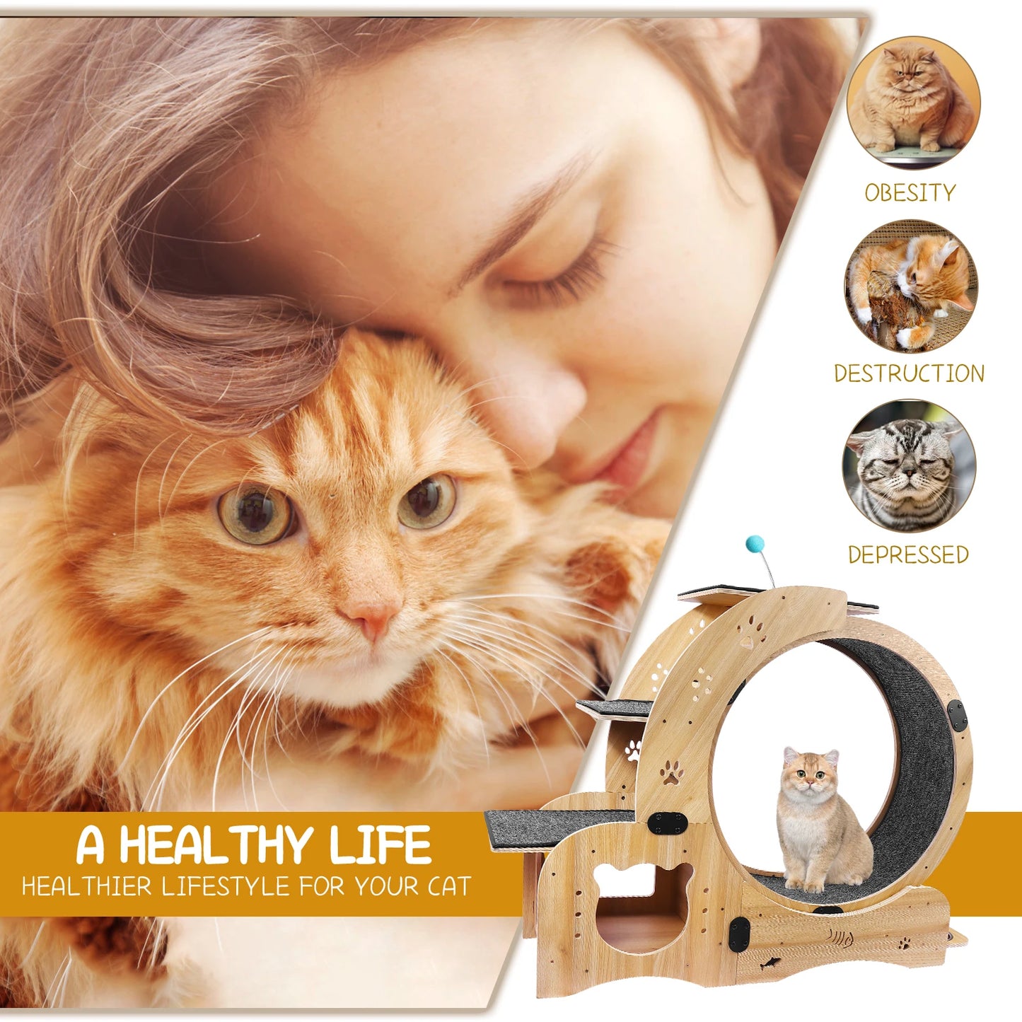 4 In 1 Cat Treadmill With Climbing Ladders and More!
