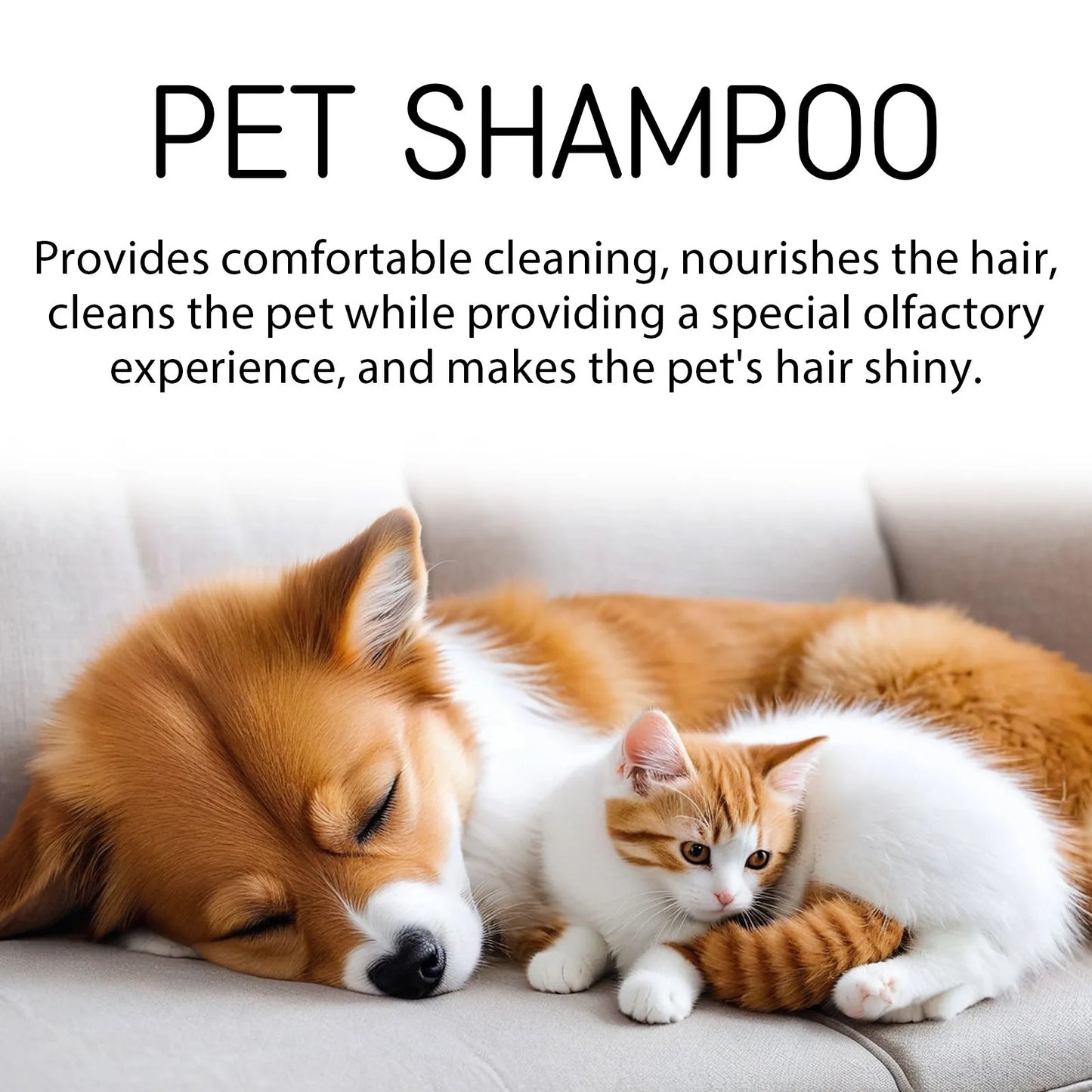 Dog Wash Shampoo: Flea & Mite Killer, Dirt Removal - Anti-Itch, Deodorizing & Moisturizing Formula for Softening Coat