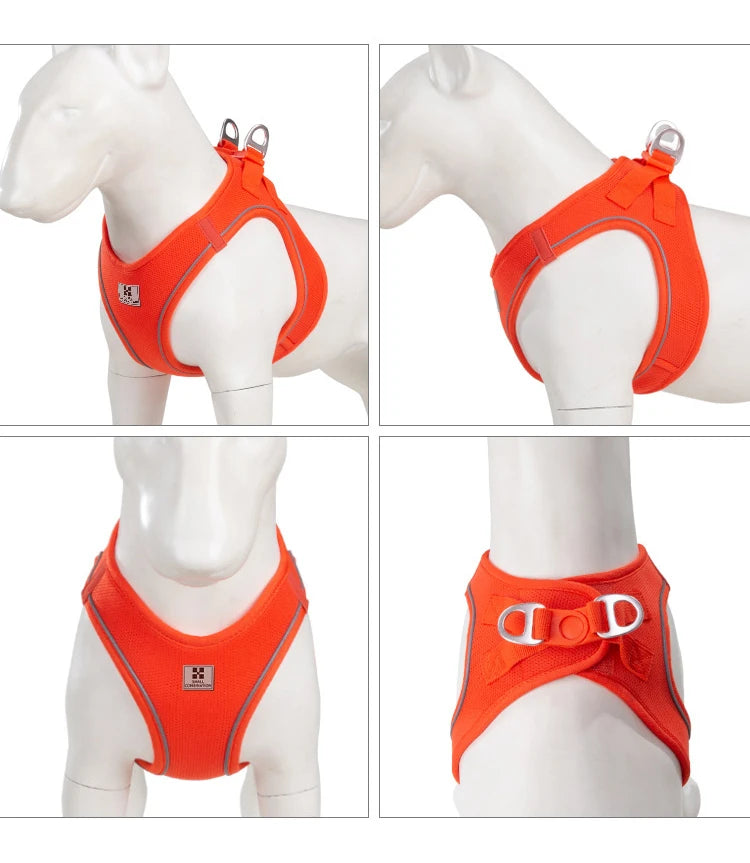 Dog Harness Leash Set for Small to Medium Dog