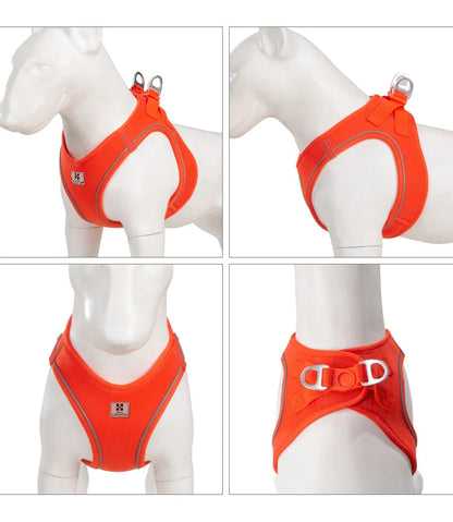 Dog Harness Leash Set for Small to Medium Dog