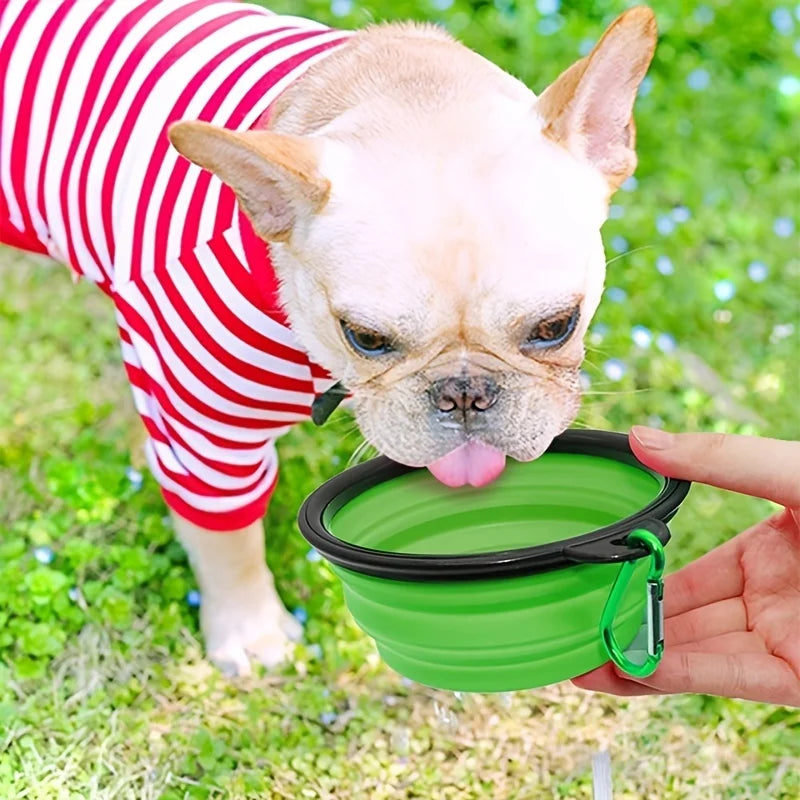 Pet Silicone Collapsible Bowl, Portable, Travel