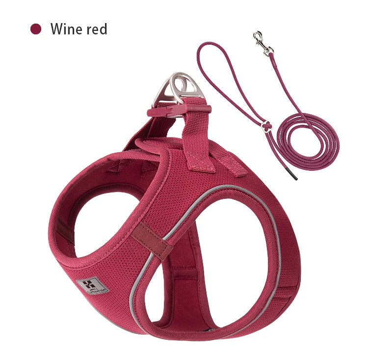 Dog Harness Leash Set for Small to Medium Dog