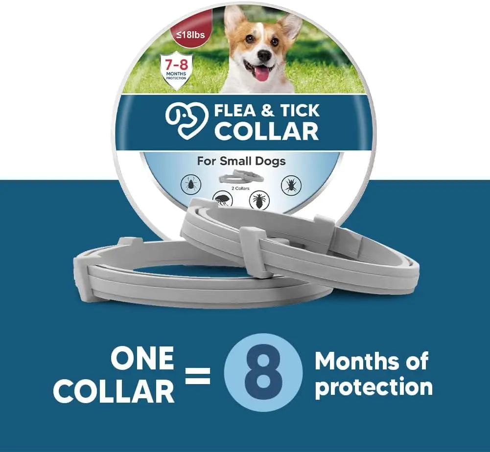 Effective Dog Flea & Tick Collar for Small Dogs