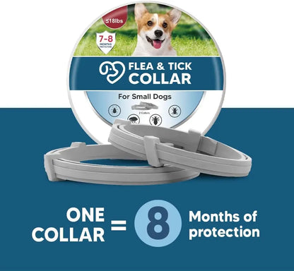 Effective Dog Flea & Tick Collar for Small Dogs