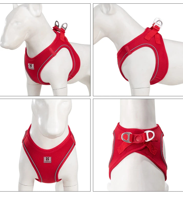 Dog Harness Leash Set for Small to Medium Dog