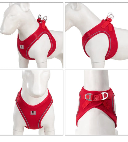 Dog Harness Leash Set for Small to Medium Dog