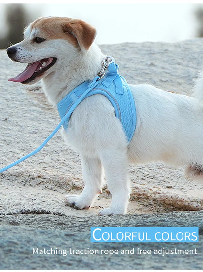 Dog Harness Leash Set for Small to Medium Dog