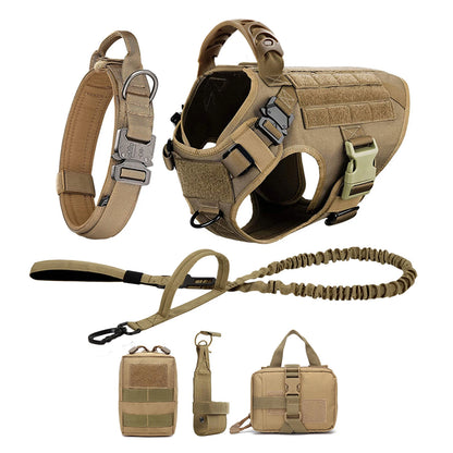 Large Dog Harness/Leash Set Large Dog