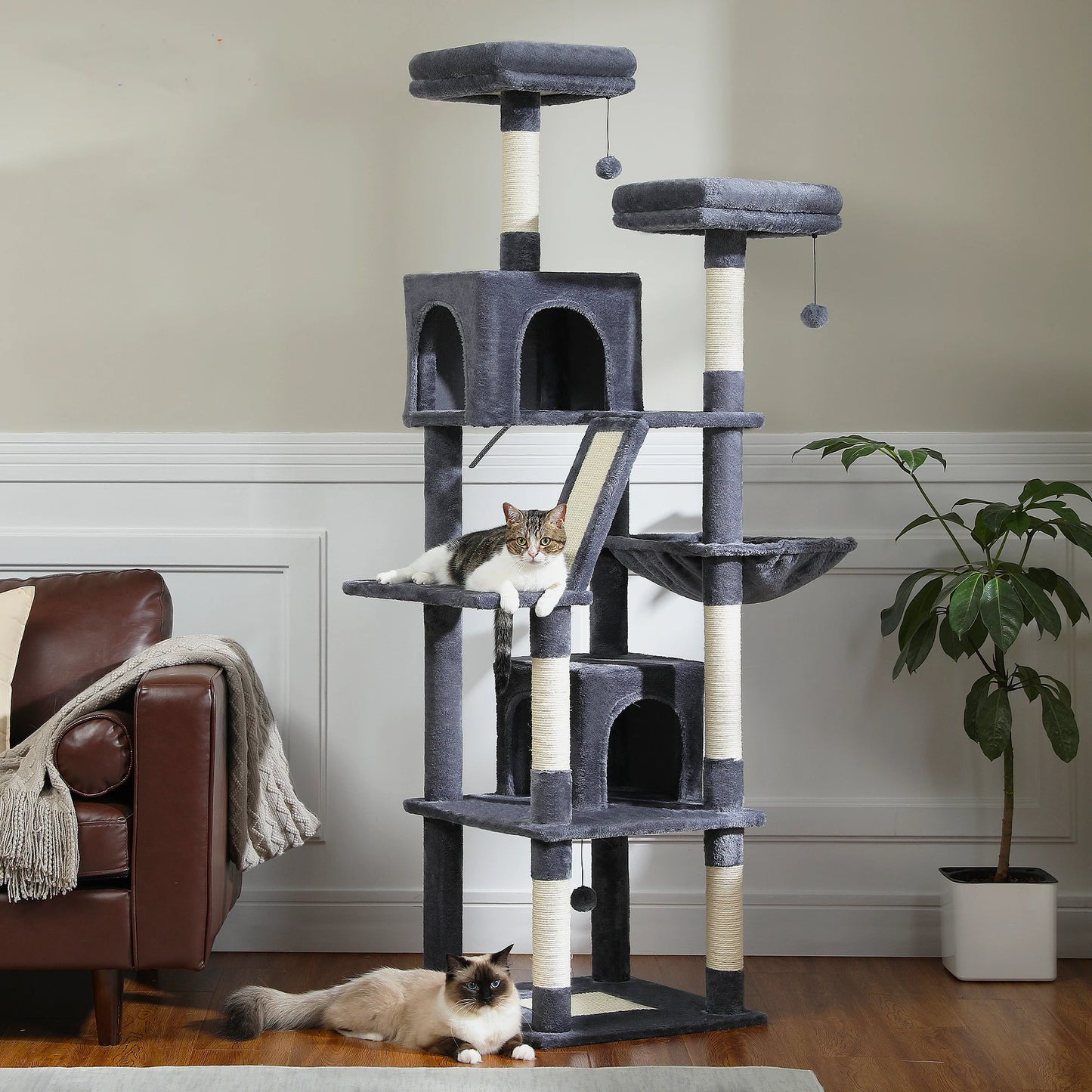 Multi-Level Plush Cat Condo, Scratching Posts, etc.