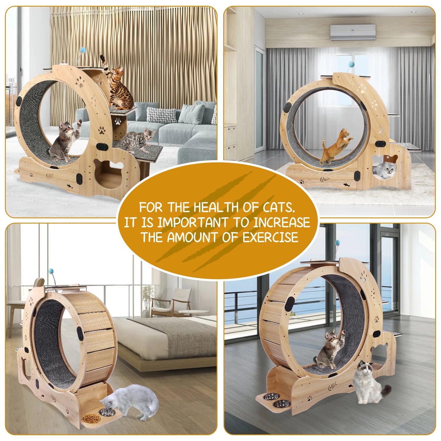 4 In 1 Cat Treadmill With Climbing Ladders and More!