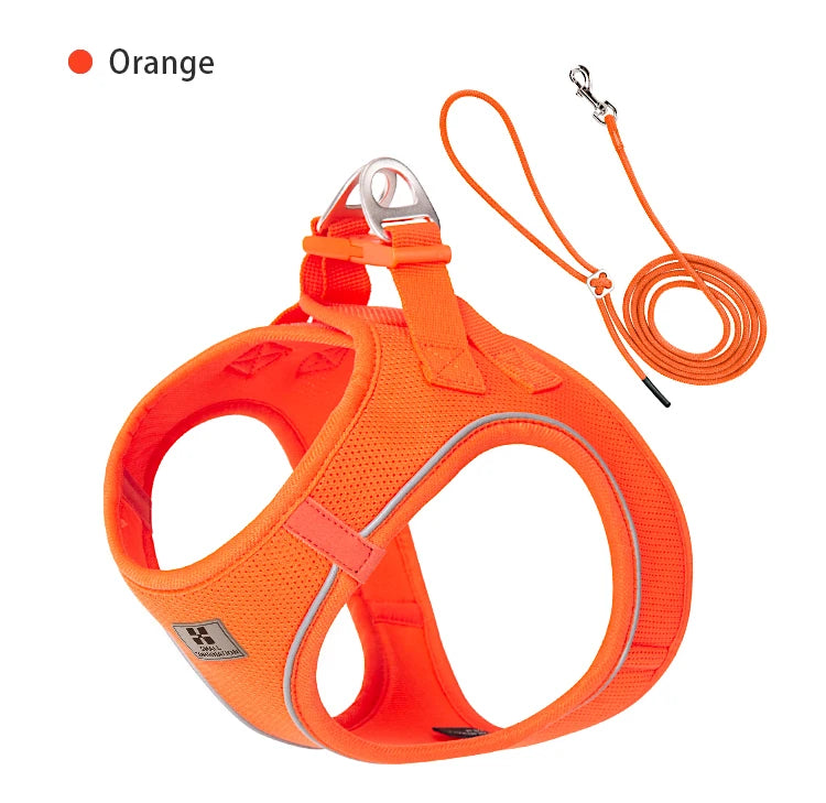Dog Harness Leash Set for Small to Medium Dog