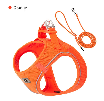 Dog Harness Leash Set for Small to Medium Dog