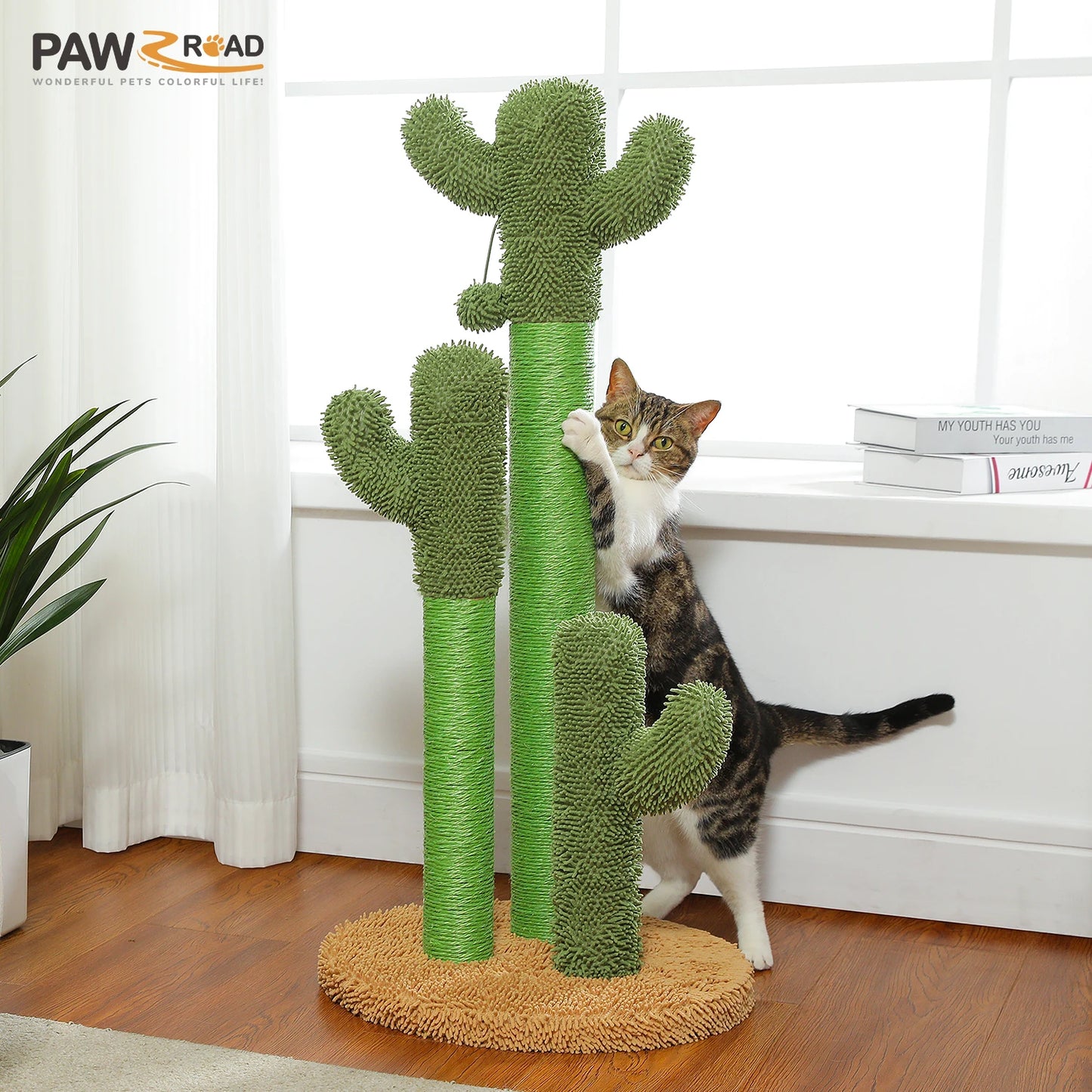 Cactus Cat Tree, Large Condo, Hammock, Dangling Ball, More