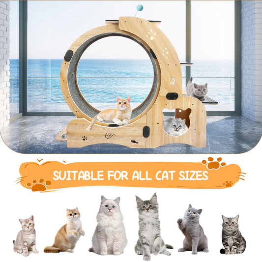 4 In 1 Cat Treadmill With Climbing Ladders and More!