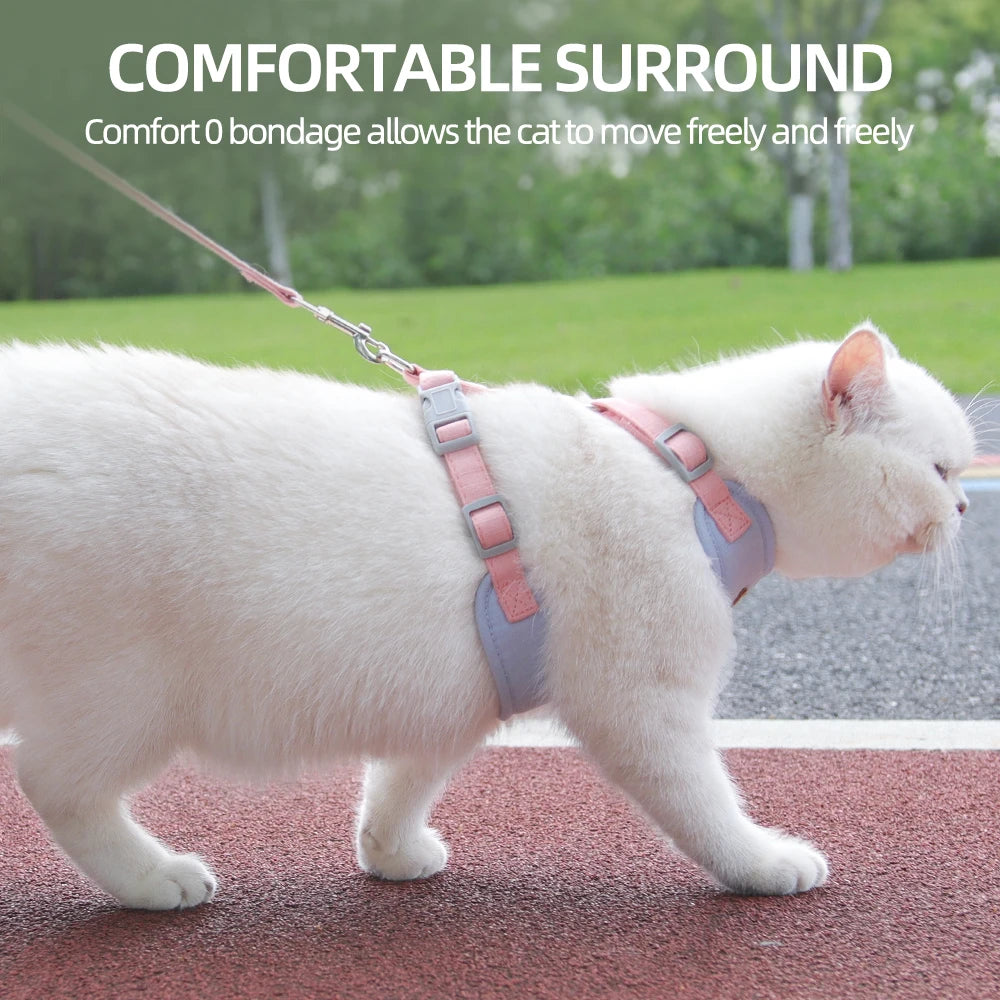 Fashion Pet Harness/Leash Set for Small Dogs, Cats