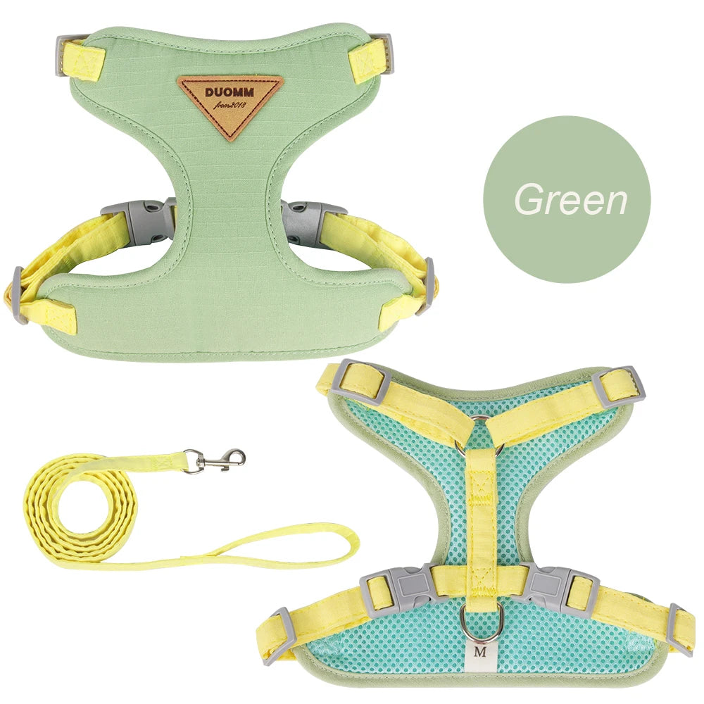 Fashion Pet Harness/Leash Set for Small Dogs, Cats