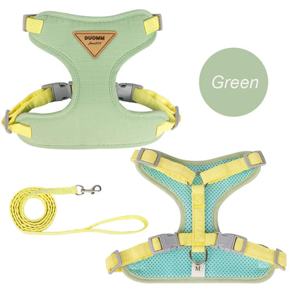 Fashion Pet Harness/Leash Set for Small Dogs, Cats