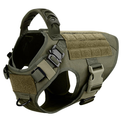 Large Dog Harness/Leash Set Large Dog